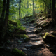 Hiking safely and responsibly