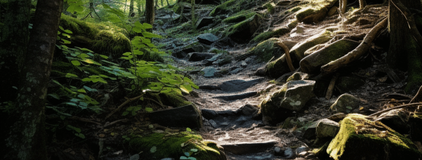 Hiking safely and responsibly