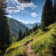 Hiking Tips for Nature Lovers