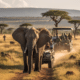 Wild Encounters: A Guide to Global Wildlife Safaris