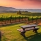 Vineyard Retreats