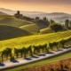 Wine Country Road Trip