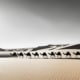 African Desert Expeditions