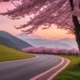 Japan's Cherry Blossom Road Trip