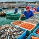 Food Tourism